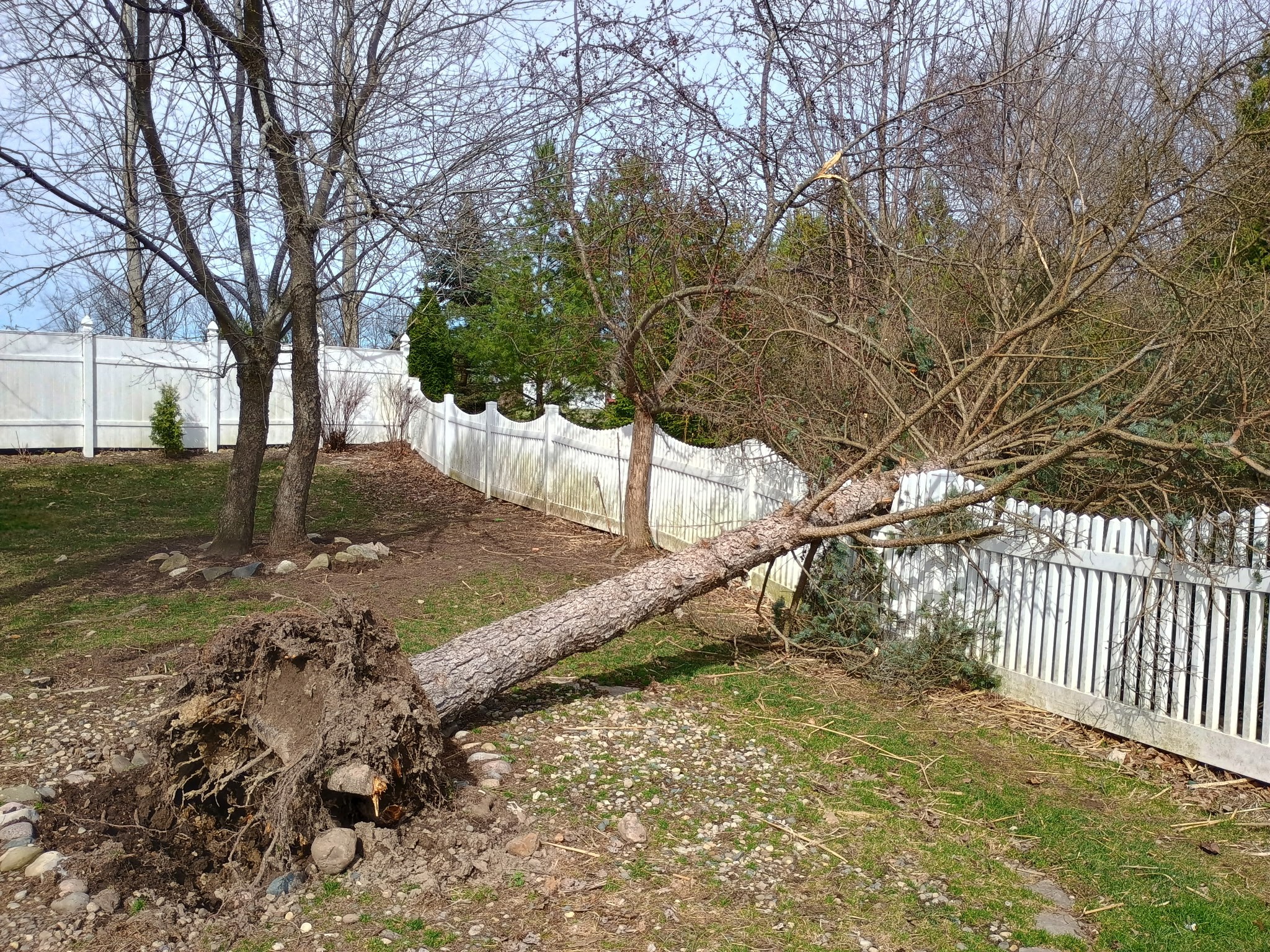 Storm Cleanup